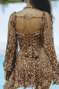 Grazia felina